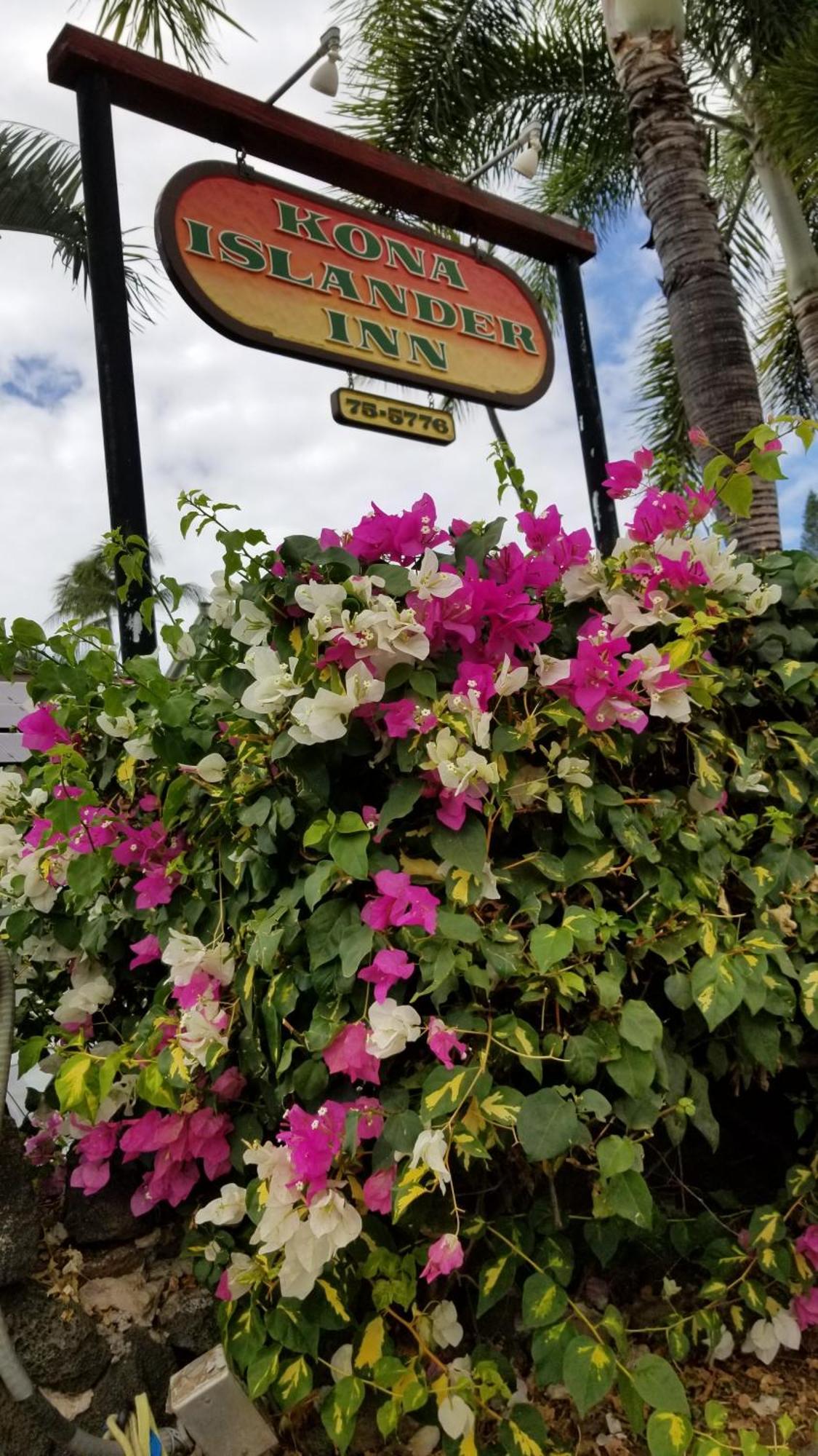 Downtown Hawaiian Theme Condo With Hot Tub, Pool & Beach - Kona Islander Inn Кайлуа Кона Екстериор снимка
